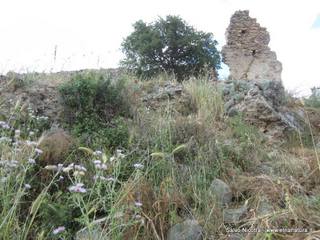 Castello di Bolo